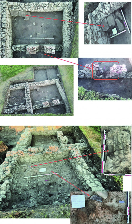 Pl. 5. (L)Ibida 2011, Sectorul I